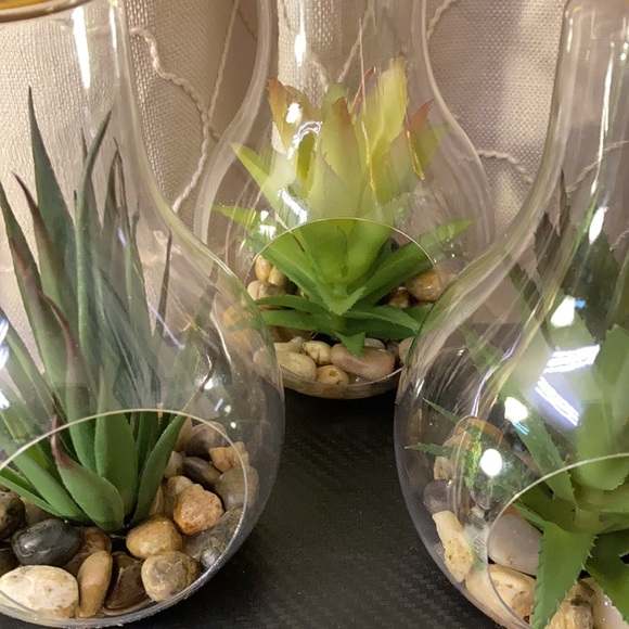 Terrarium Wedding Centerpiece (set of 8) - Picture 4 of 7
